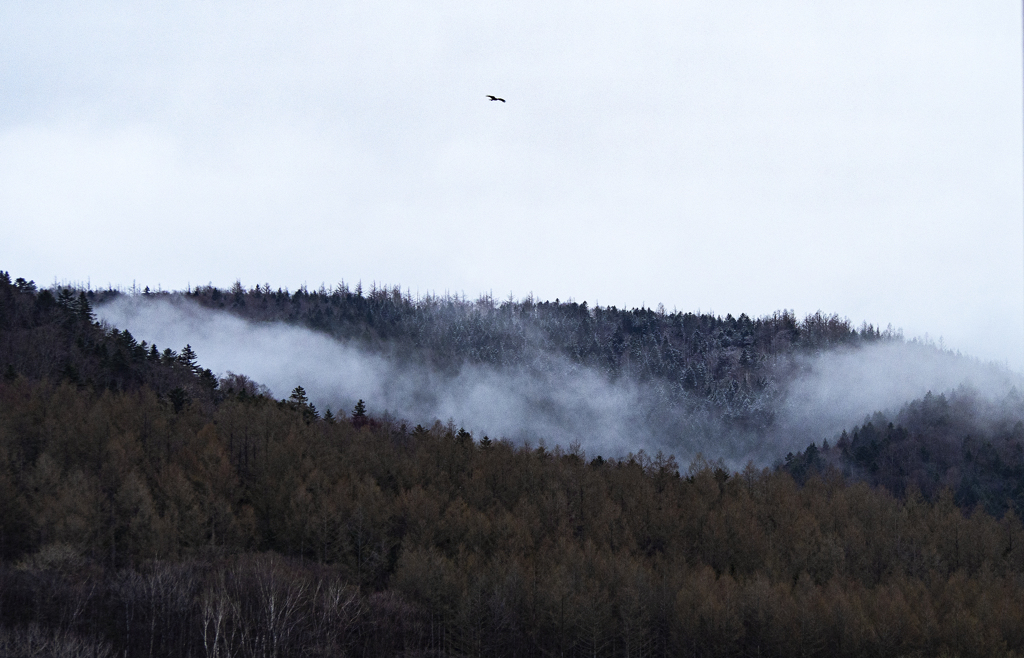 チョット降ったさＧＷ
