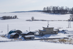 昼下がりの情景