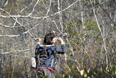北コブシの香り