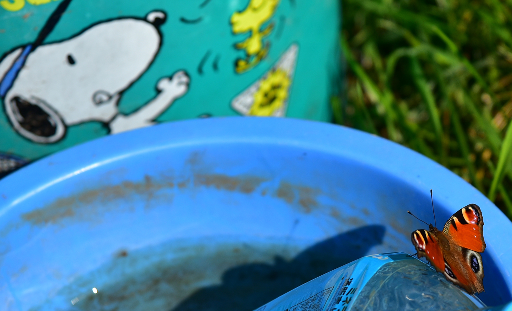 ね～　私と遊んで　