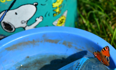 ね～　私と遊んで　