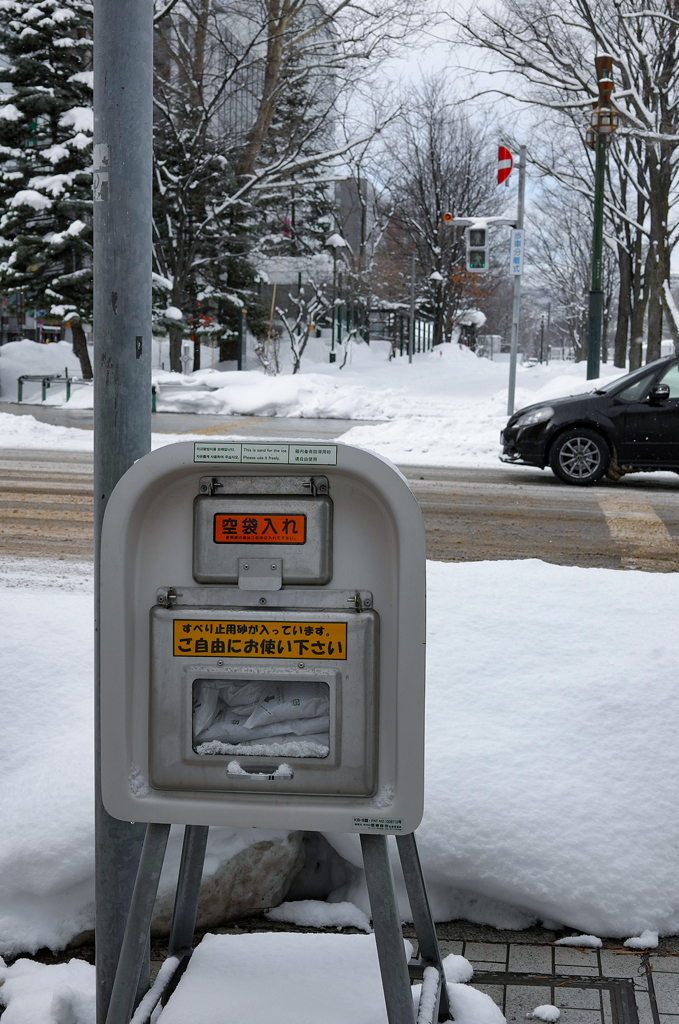 2月の札幌