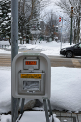 2月の札幌