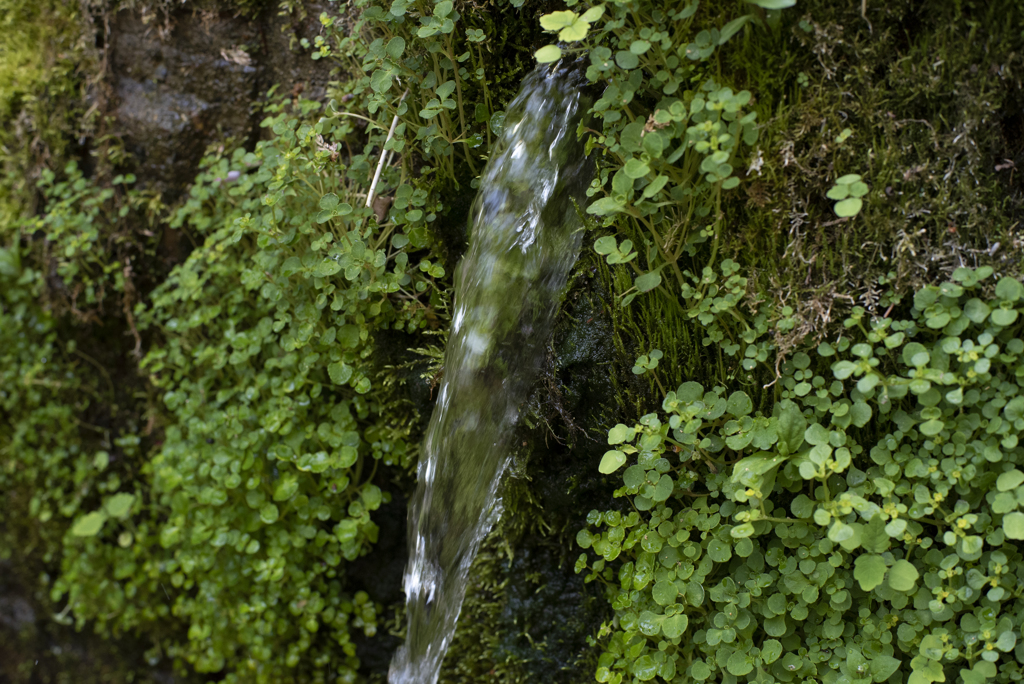 湧水