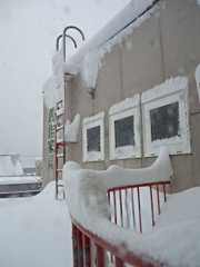 ついに大雪