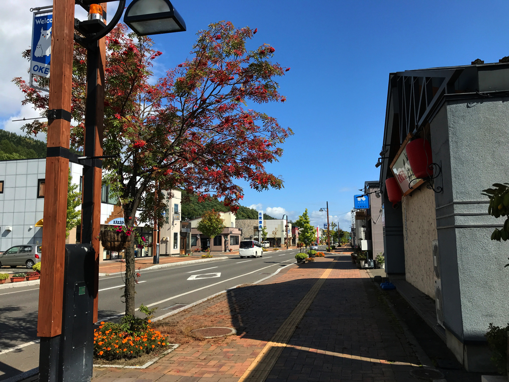 ナナカマドの赤が素敵な大通り
