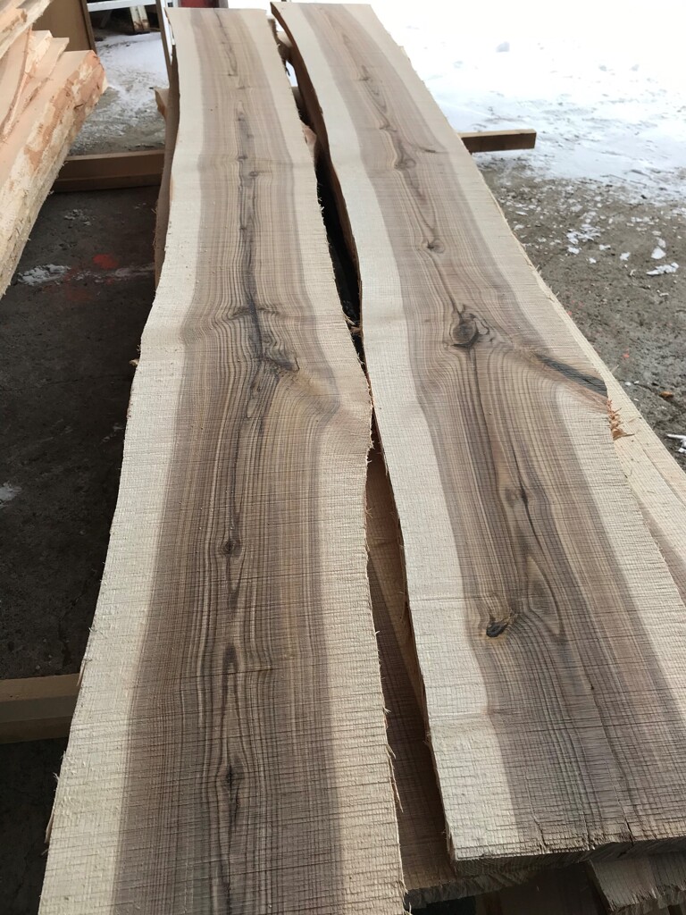 お～美しい！　と見入るとき