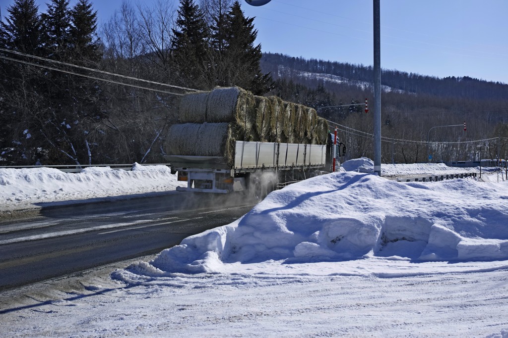 急いで配達　牛のご飯