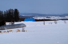 ブルーのある眺め