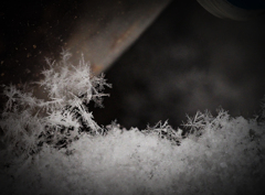 snow crystals