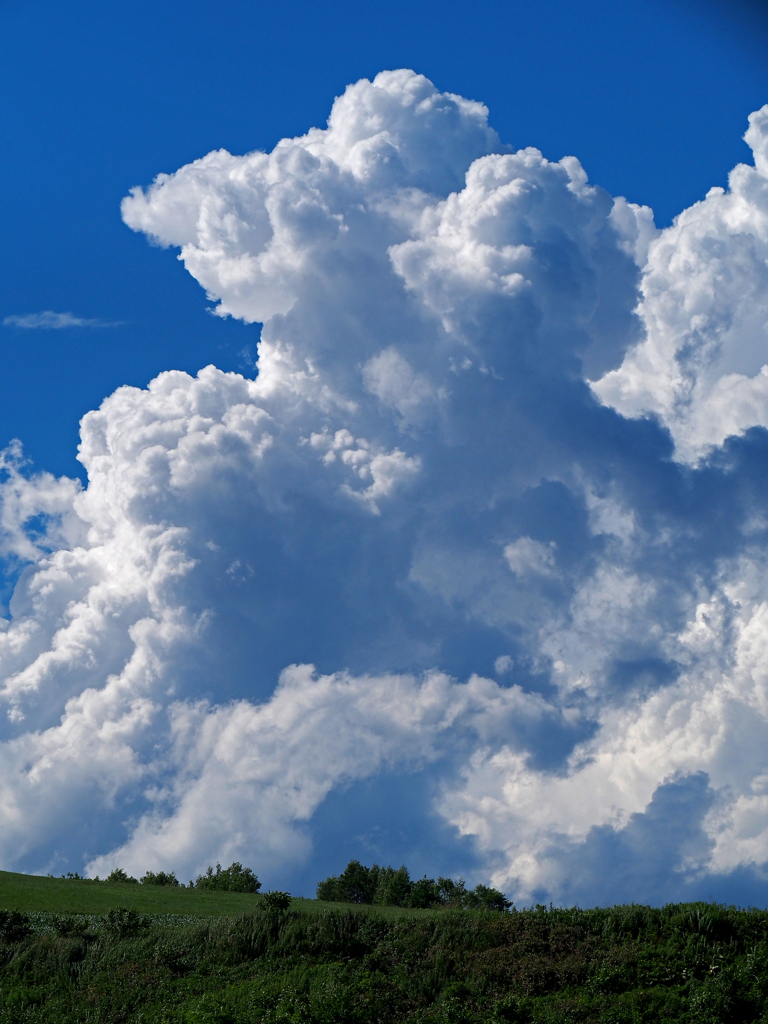 草原の夏雲