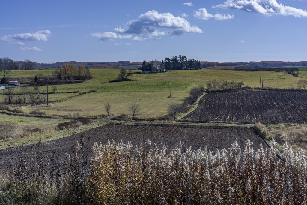 牧の晩秋