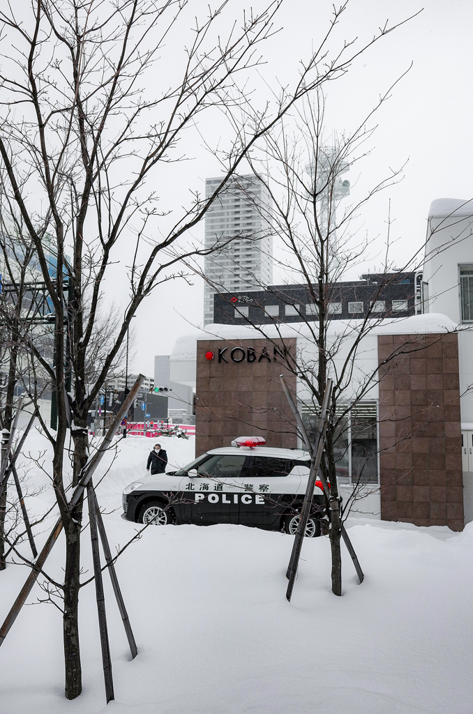 2月の札幌
