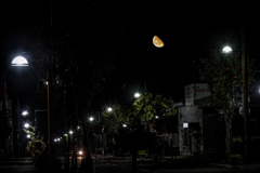 昨夜は赤く大きく