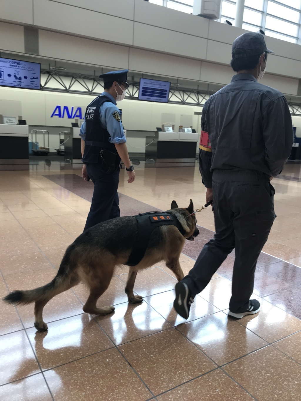 悪いやつ いねか----