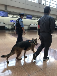 悪いやつ いねか----