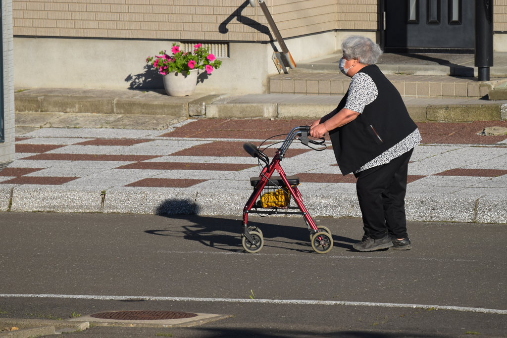 ハヤばちゃんお買い物