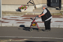 ハヤばちゃんお買い物