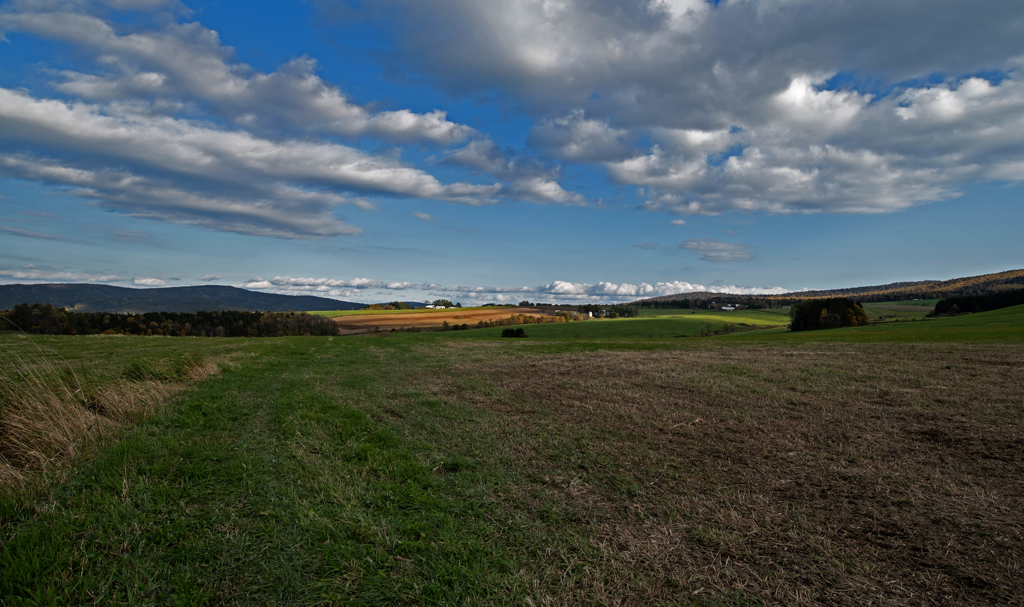 午後の高原牧場 1
