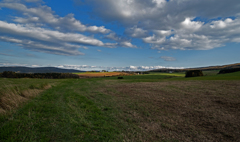 午後の高原牧場 1