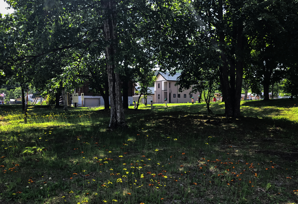 コウリンタンポポと子供たち