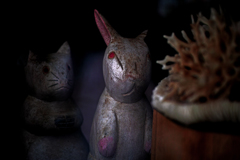 珊瑚の前で仲良くショット