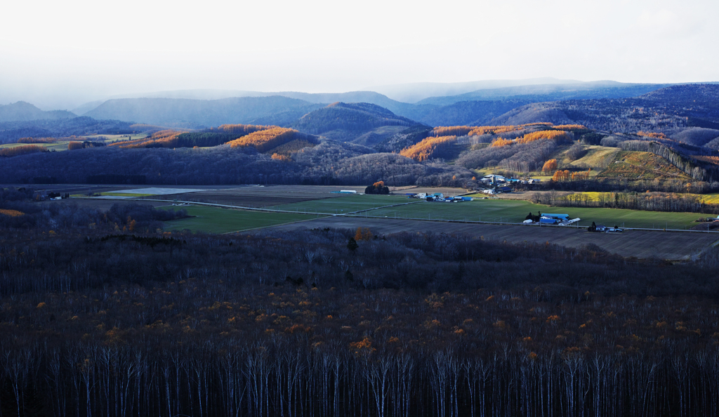 カラ松燃ゆるころ