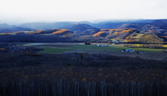 カラ松燃ゆるころ