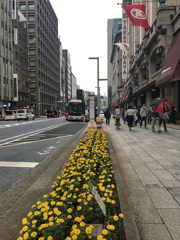 午後の通り