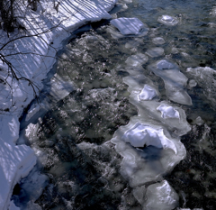 二月のトコロ川