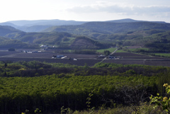 小さく見える友の家