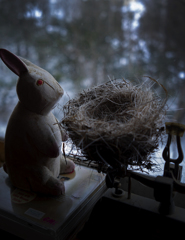 風のプレゼント!! だって