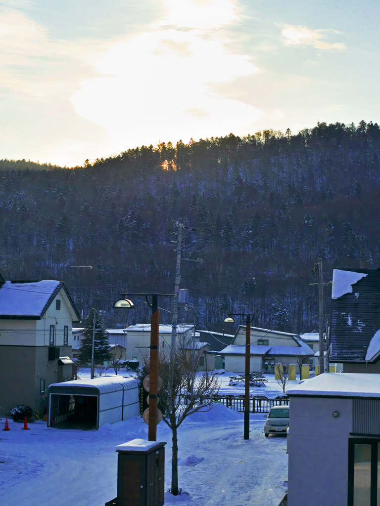 木立を透かして　ohayo~