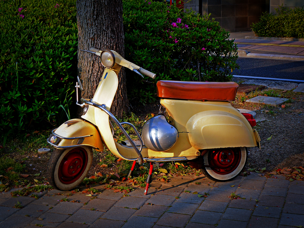 Hiroshima Peace Memorial Park3