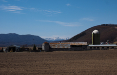 遠くにクマネシリ岳