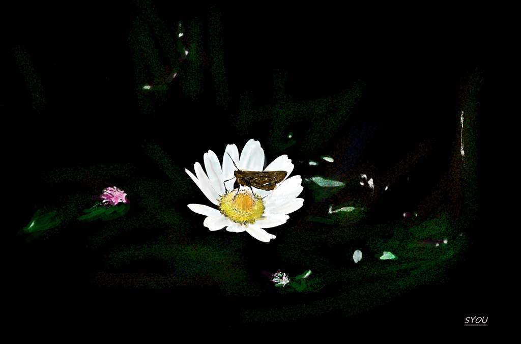 セセリチョウ淡彩風