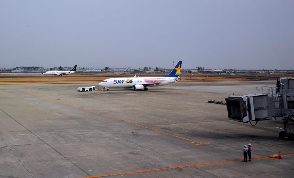 SKYDP1Q1353
