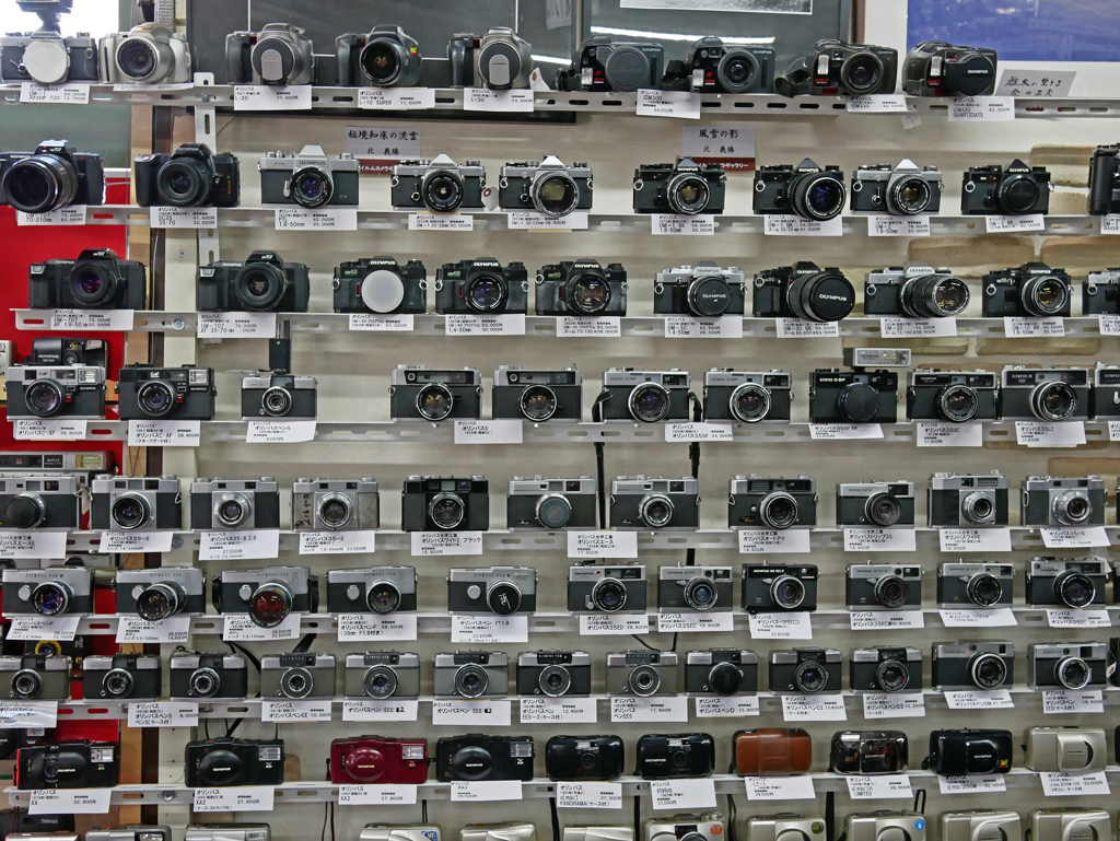 オリンパスも良い眺め