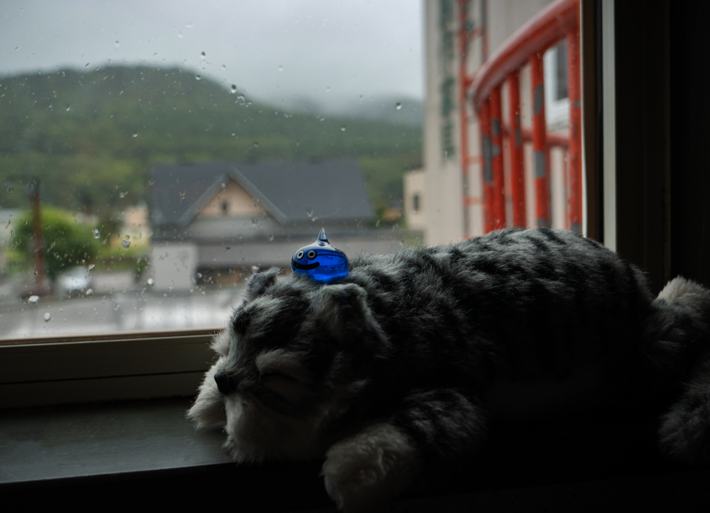 雨の日は眠いよね