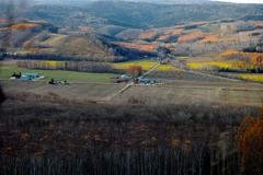 カラ松燃ゆるころ