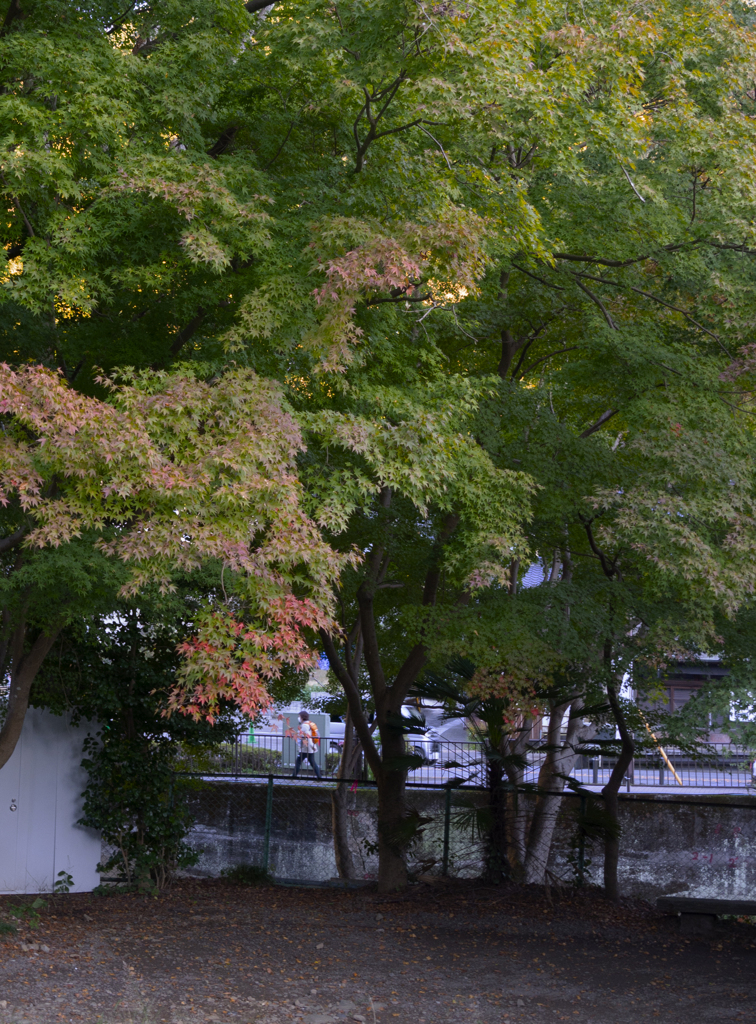 京王線高尾山口駅あたり