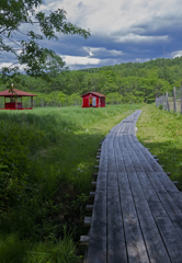 Bone Houseへの木道