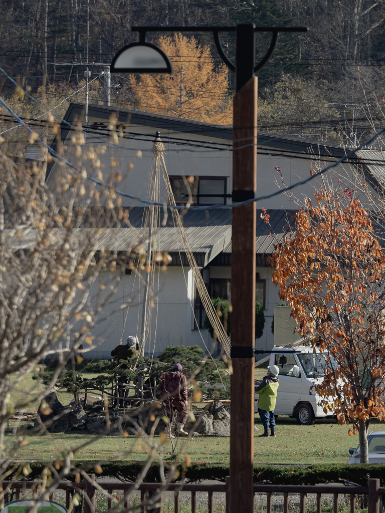 雪吊り　午後の仕事