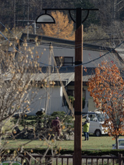 雪吊り　午後の仕事