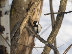 貴方も好きね！！ って　言われた感じ