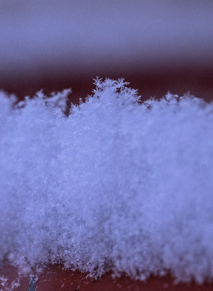snow crystals