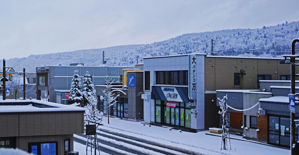 やってきた　白