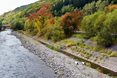 丹頂鶴　常呂川　置戸町