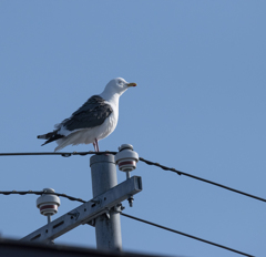 初夏の風ってさわやか！