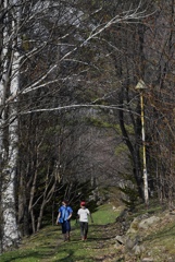 昆虫採集は まだですよ